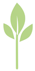 Singularity Foundation